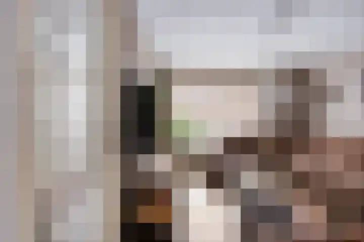 Brabanthof 12 Helmond thumbnail 13