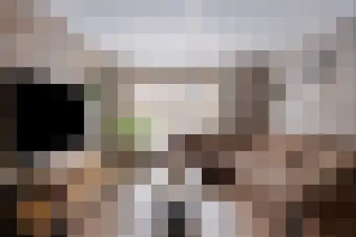 Brabanthof 12 Helmond thumbnail 15