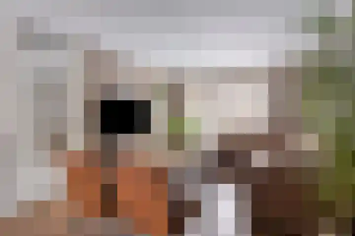 Brabanthof 12 Helmond thumbnail 16