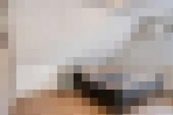 Brabanthof 12 Helmond thumbnail 30