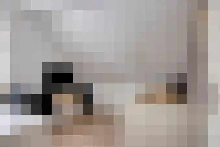 Brabanthof 12 Helmond thumbnail 32