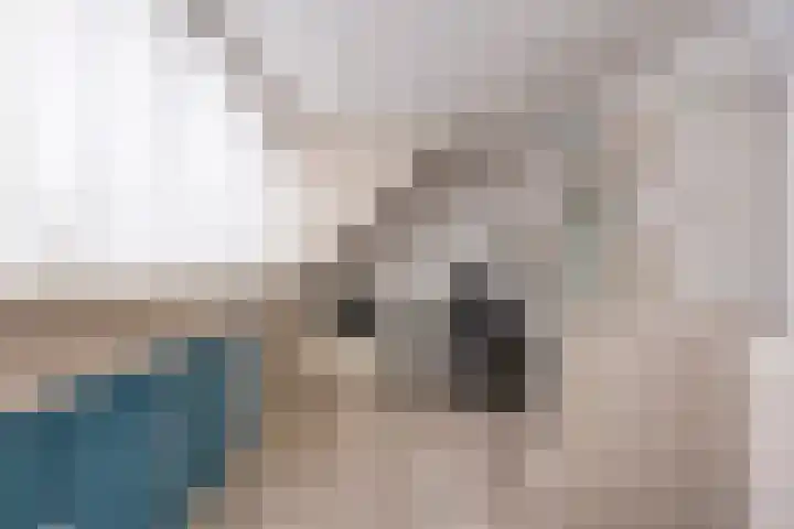 Brabanthof 12 Helmond thumbnail 39