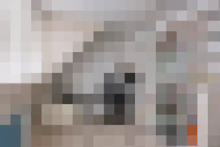 Brabanthof 12 Helmond thumbnail 40