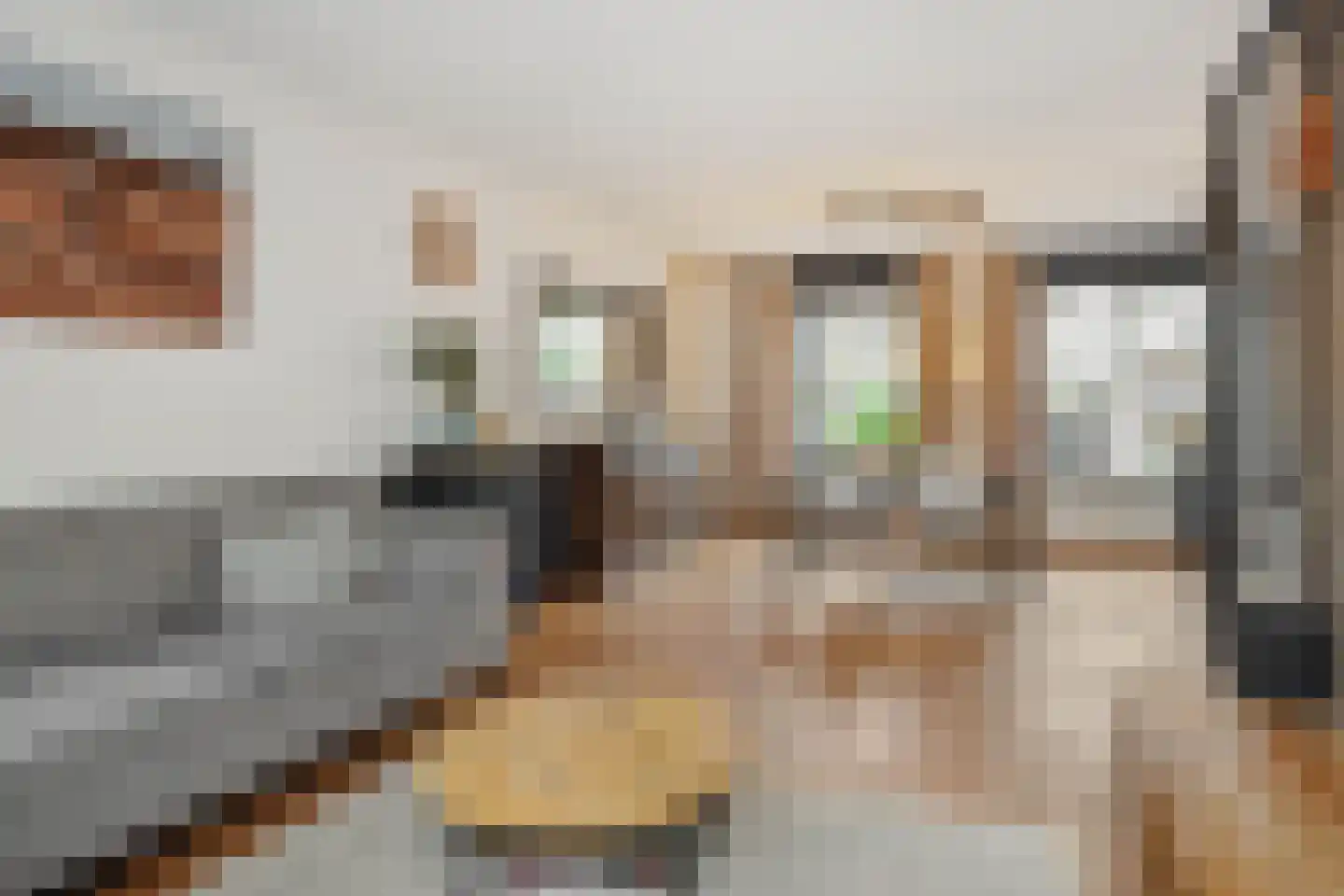 Brabanthof 16 Helmond thumbnail 11