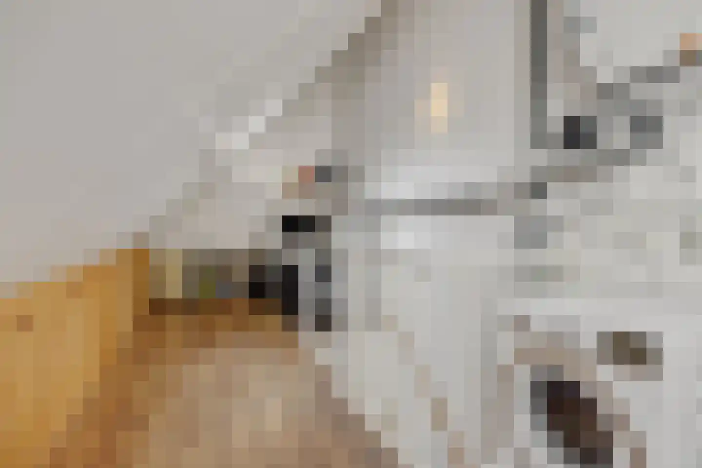 Brabanthof 16 Helmond thumbnail 25