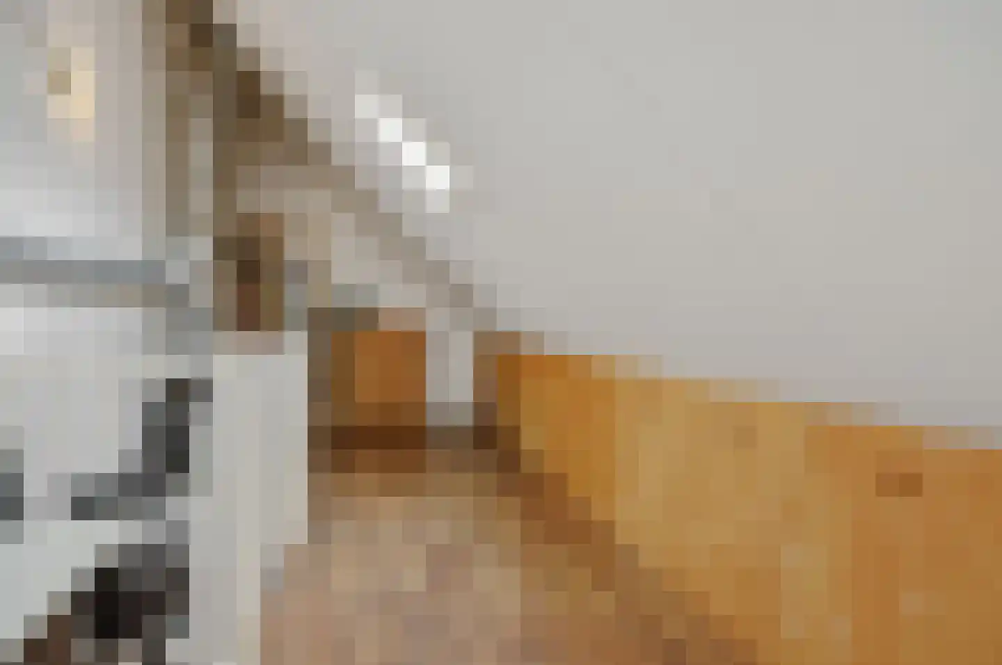 Brabanthof 16 Helmond thumbnail 26