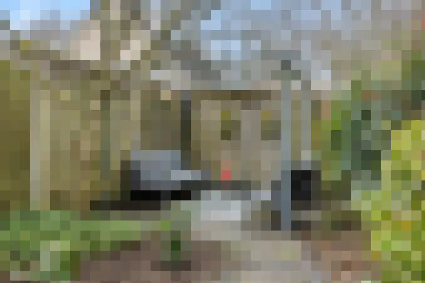 Brabanthof 16 Helmond thumbnail 28