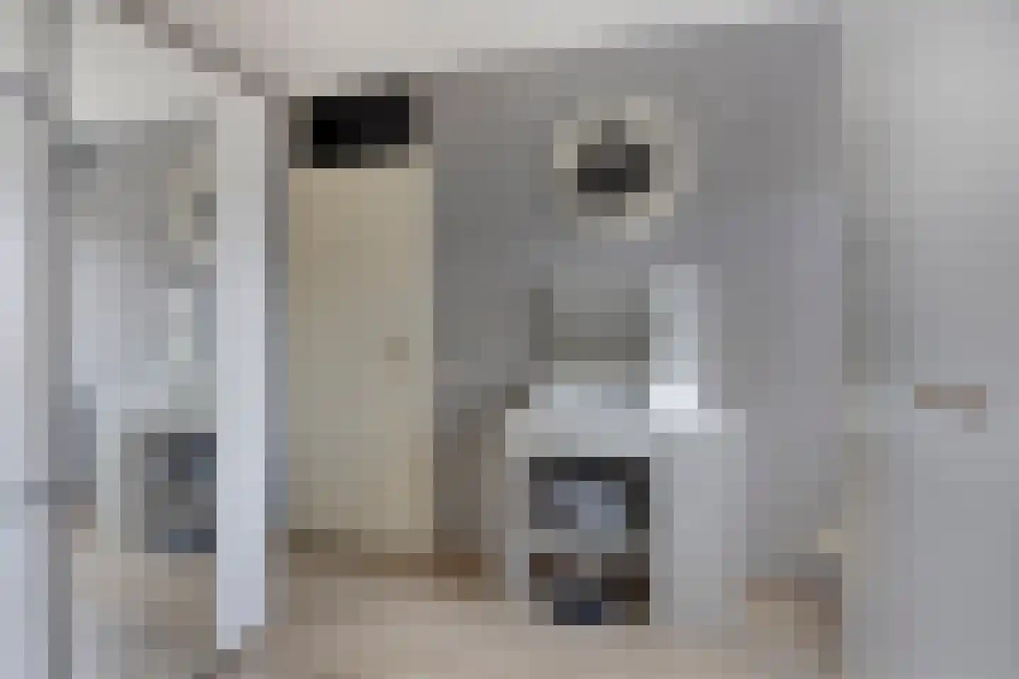 Brabanthof 28 Helmond thumbnail 22