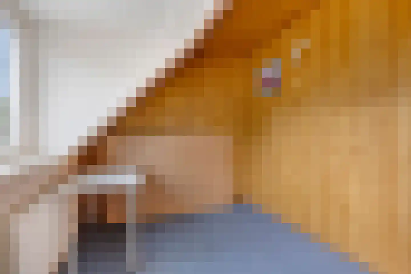 Brabanthof 28 Helmond thumbnail 27