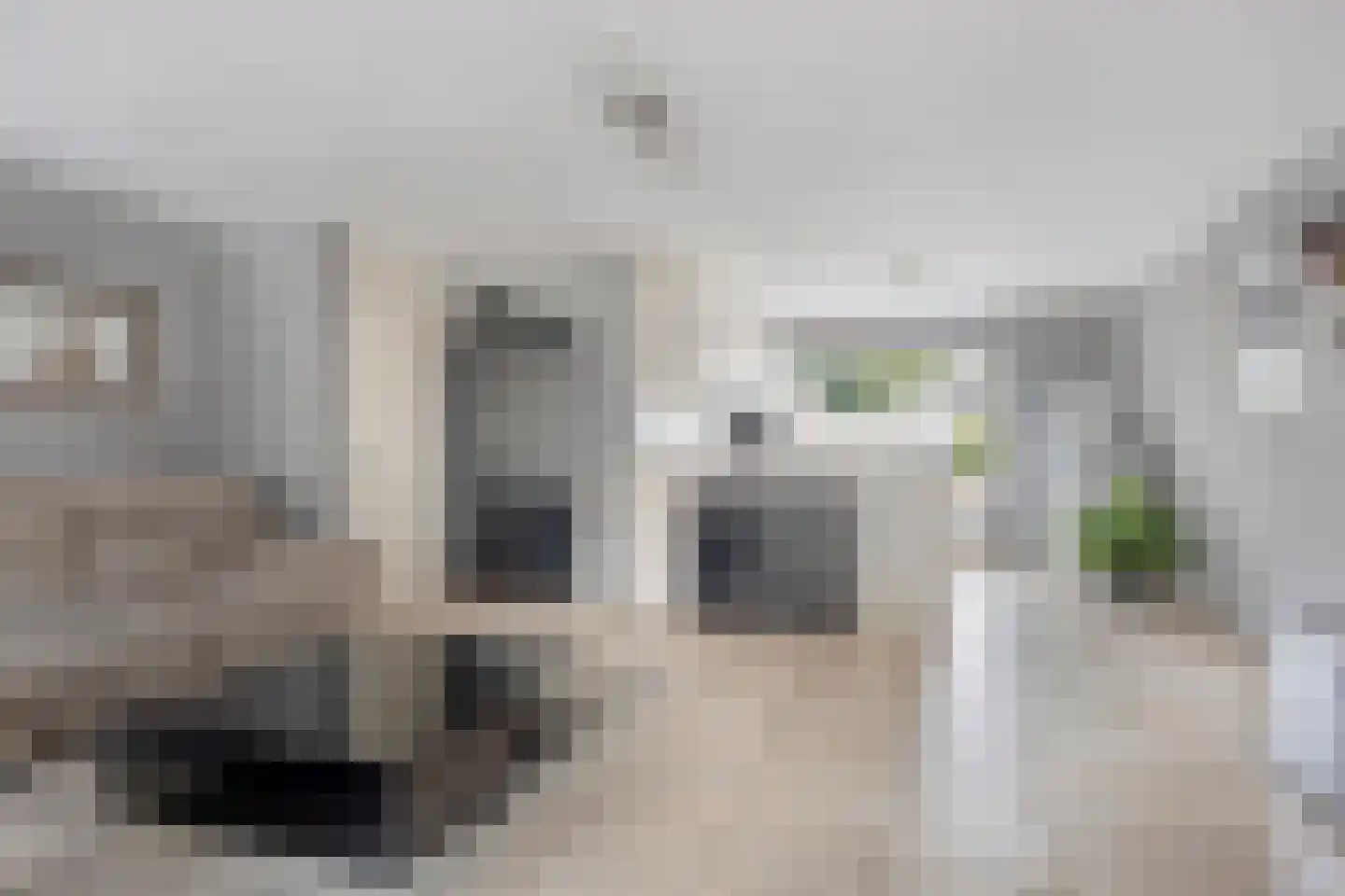 Brabanthof 28 Helmond thumbnail 6