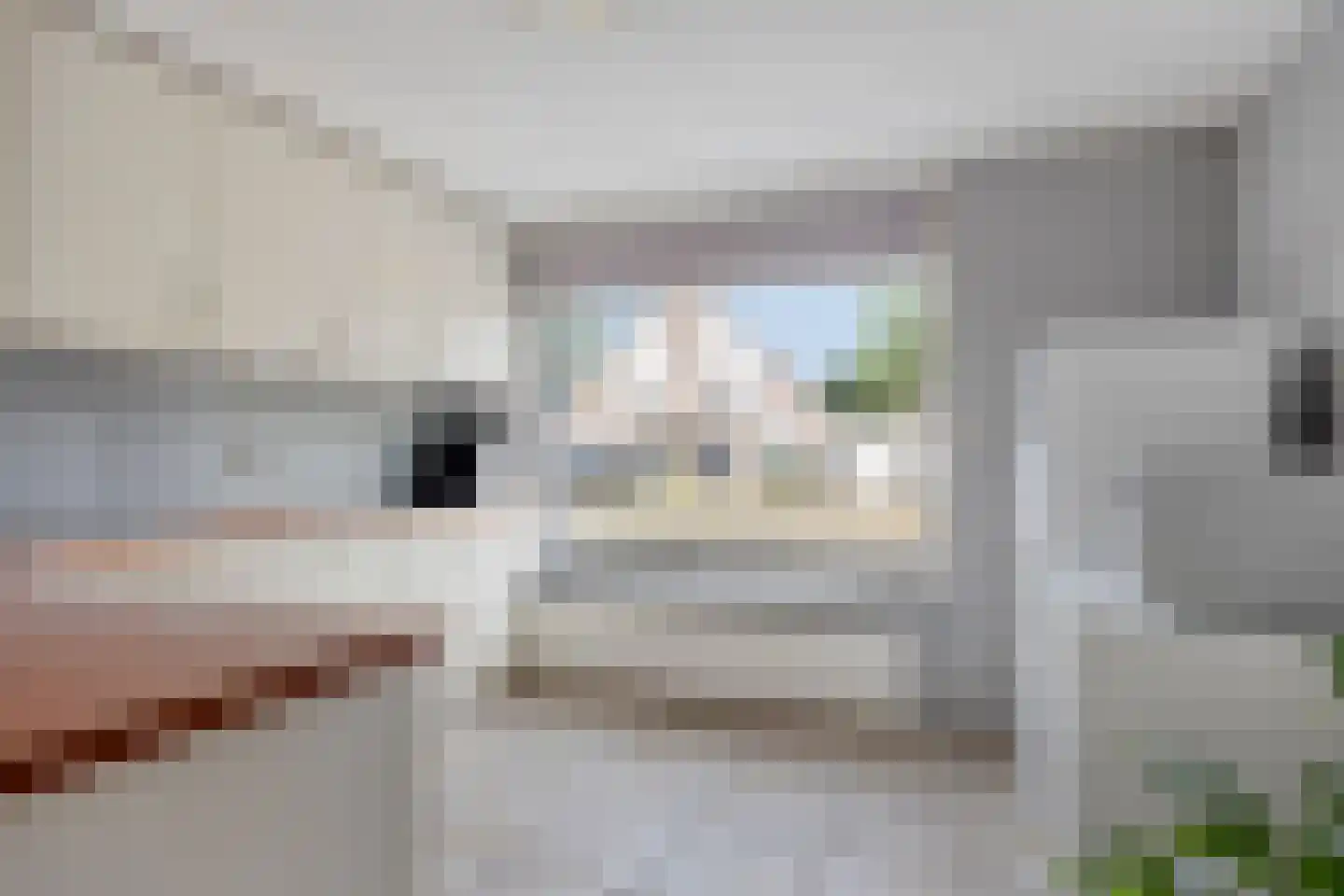Brabanthof 28 Helmond thumbnail 7
