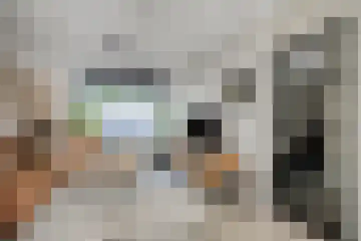 Brabanthof 7 Helmond thumbnail 12