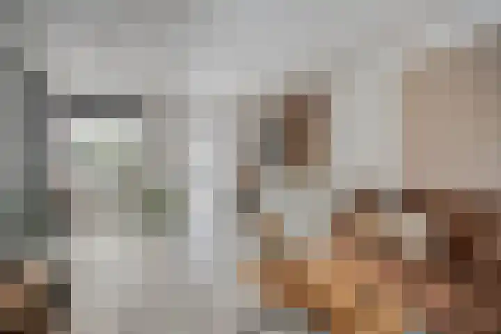 Brabanthof 7 Helmond thumbnail 13