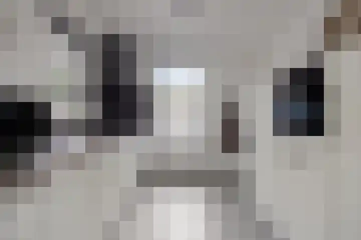 Brabanthof 7 Helmond thumbnail 17