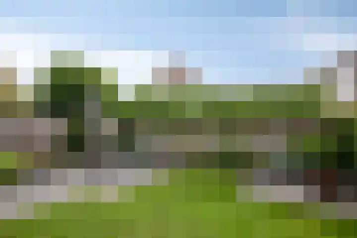 Brabanthof 7 Helmond thumbnail 23
