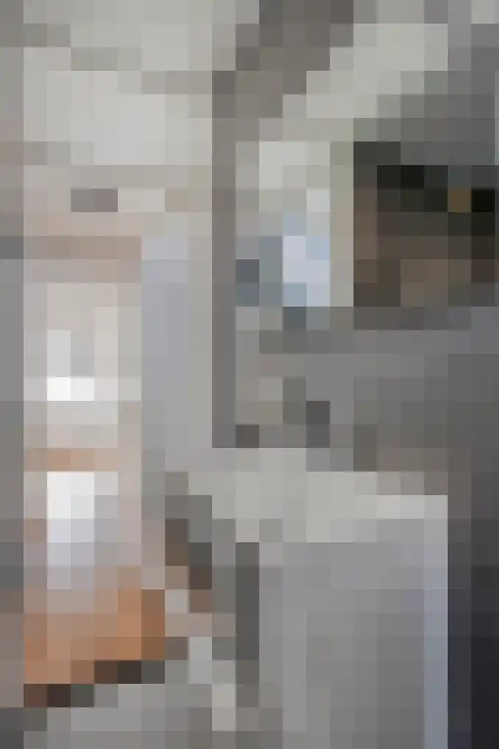 Brabanthof 7 Helmond thumbnail 30