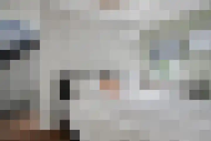 Brabanthof 7 Helmond thumbnail 32