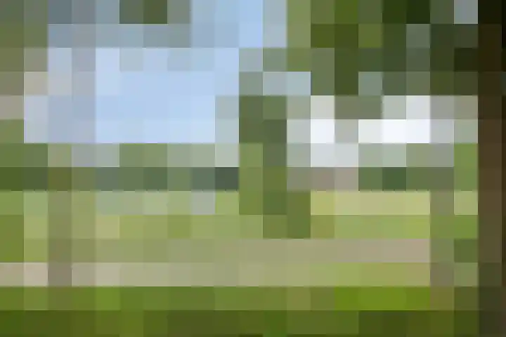 Brabanthof 7 Helmond thumbnail 43