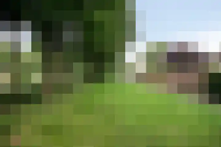 Brabanthof 7 Helmond thumbnail 44