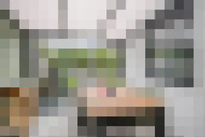 Brabanthof 7 Helmond thumbnail 5