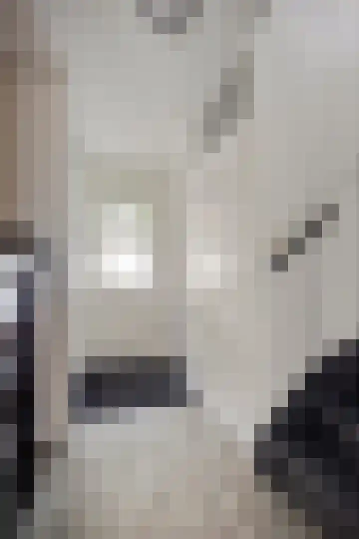 Brabanthof 7 Helmond thumbnail 8