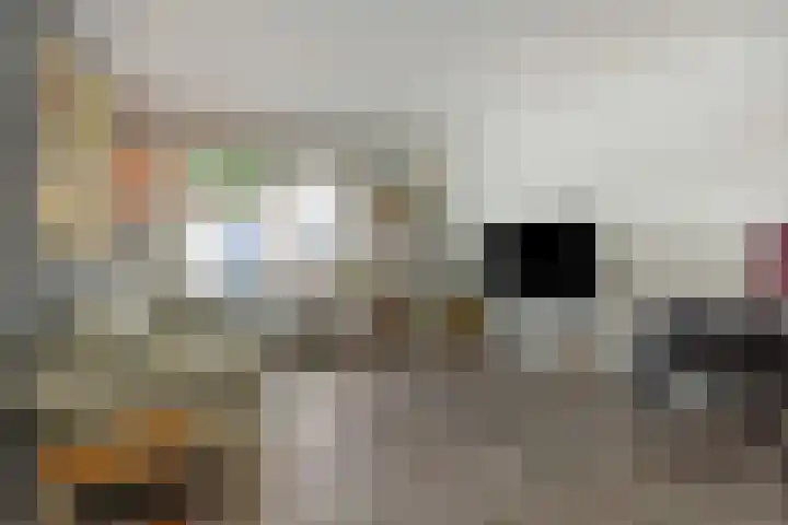 Brabanthof 9 Helmond thumbnail 12