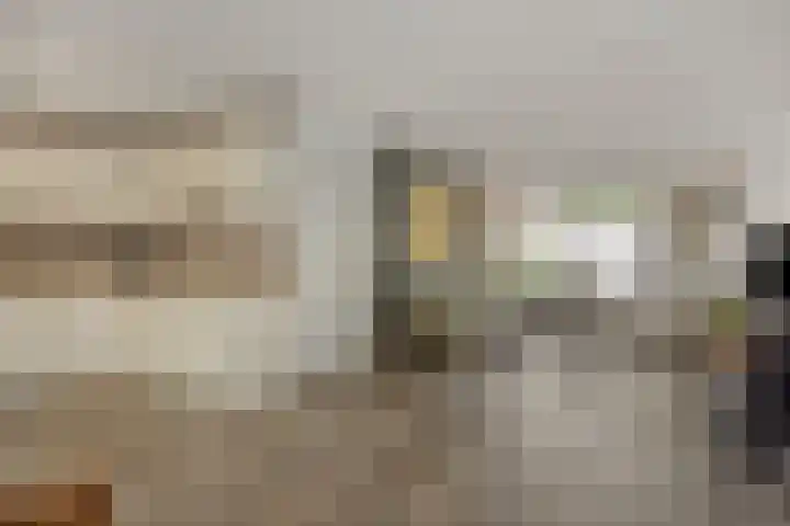 Brabanthof 9 Helmond thumbnail 15