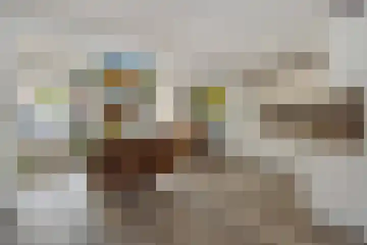 Brabanthof 9 Helmond thumbnail 17