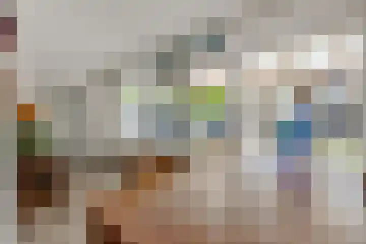 Brabanthof 9 Helmond thumbnail 20