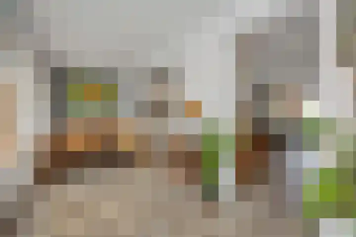 Brabanthof 9 Helmond thumbnail 22