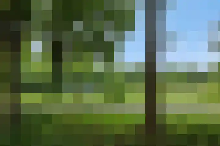 Brabanthof 9 Helmond thumbnail 43