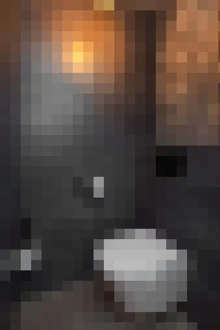 Brabanthof 9 Helmond thumbnail 9