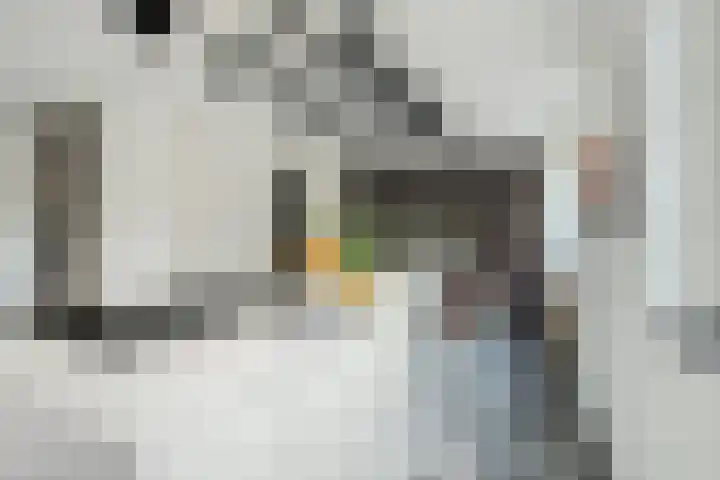 Brabantlaan 14 Breda thumbnail 18