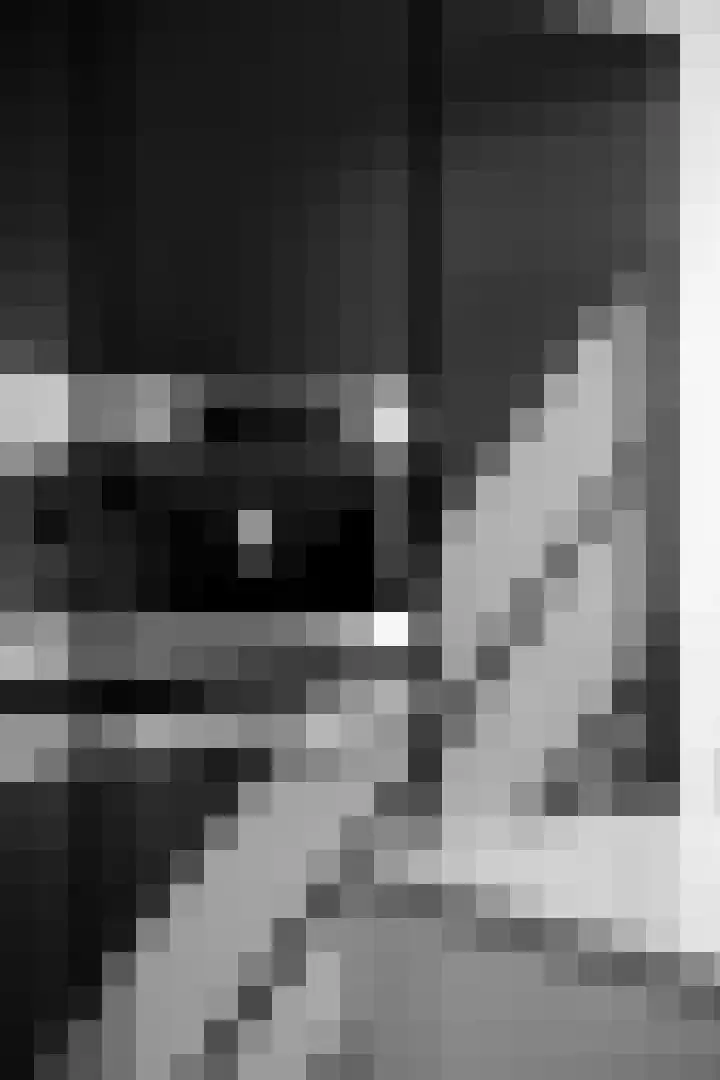 Brabantlaan 14 Breda thumbnail 21