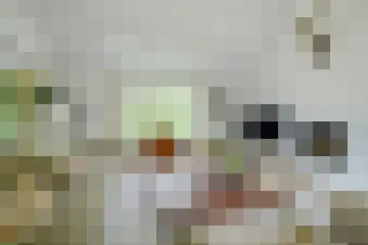 Brabantlaan 14 Breda thumbnail 26