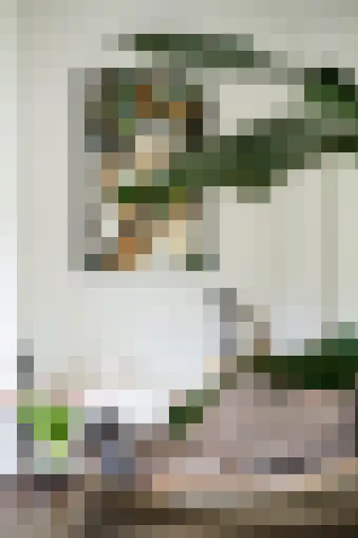 Brabantlaan 14 Breda thumbnail 28