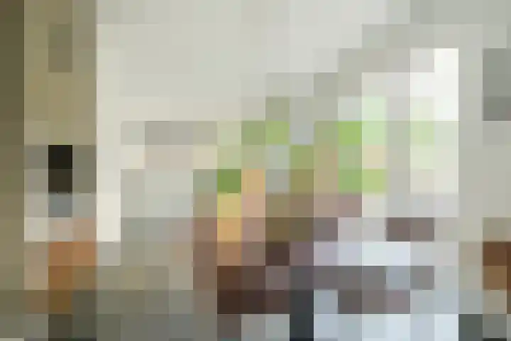 Brabantlaan 14 Breda thumbnail 4