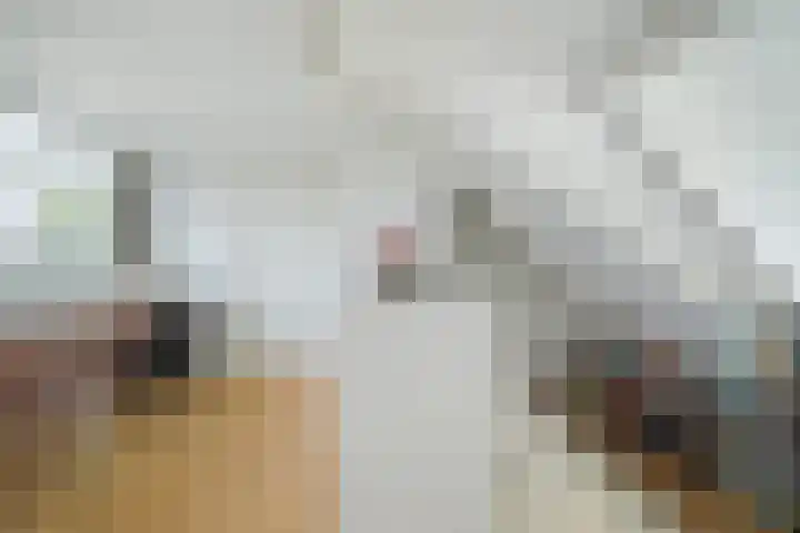 Brabantlaan 14 Breda thumbnail 45