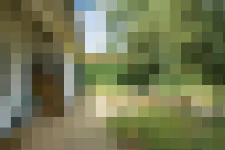 Brabantlaan 14 Breda thumbnail 55