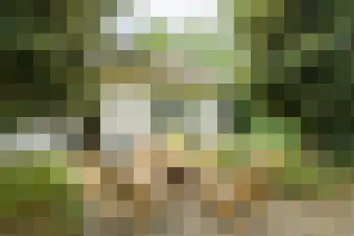 Brabantlaan 14 Breda thumbnail 56