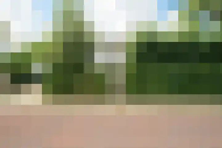 Brabantlaan 14 Breda thumbnail 60
