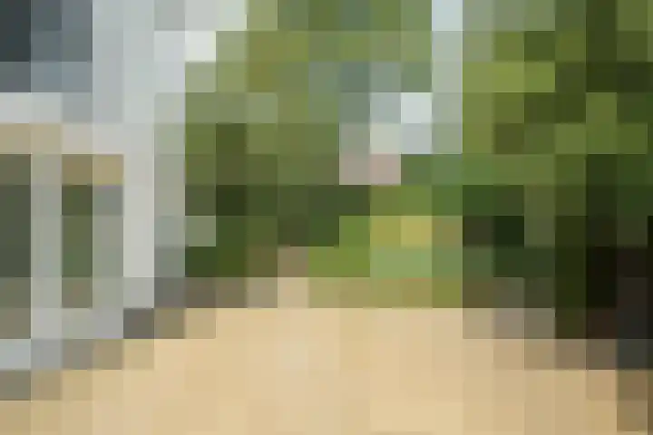 Brabantlaan 14 Breda thumbnail 61