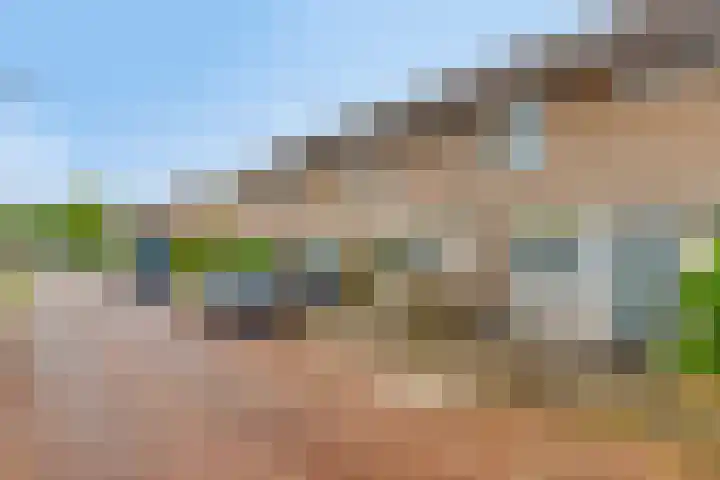 Brabantlaan 16 Etten-Leur thumbnail 30
