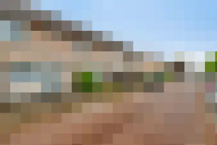 Brabantlaan 16 Etten-Leur thumbnail 31