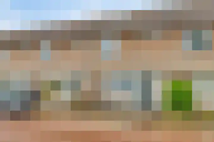 Brabantlaan 16 Etten-Leur thumbnail 6