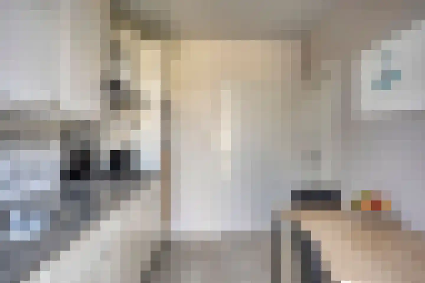 Brabantlaan 2 Liempde thumbnail 19
