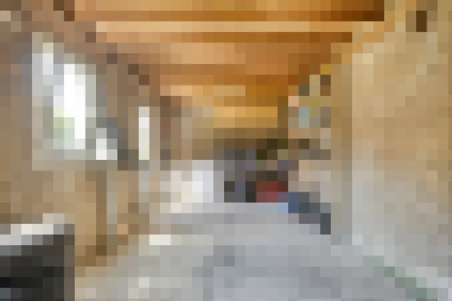 Brabantlaan 2 Liempde thumbnail 29