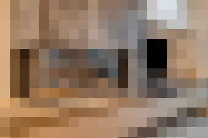 Brabantlaan 2 Riel thumbnail 14