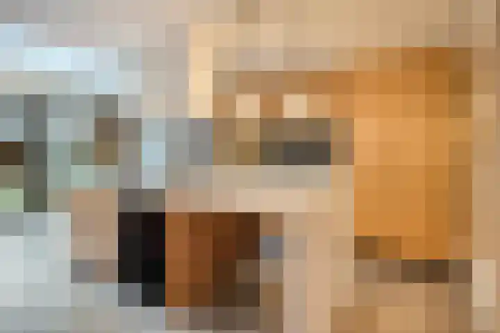 Brabantlaan 2 Riel thumbnail 17
