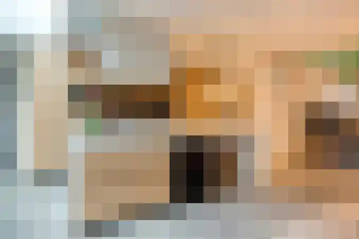 Brabantlaan 2 Riel thumbnail 25